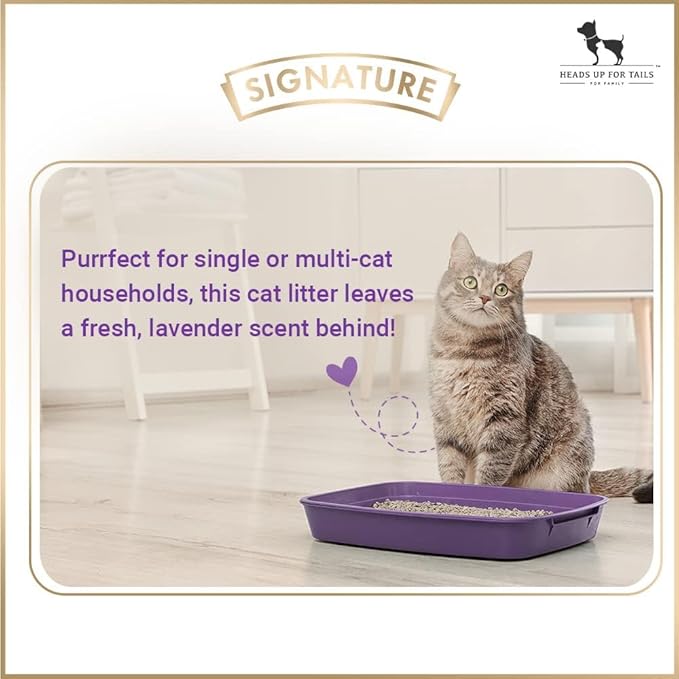 Grain Zero Benotinte Cat Litter